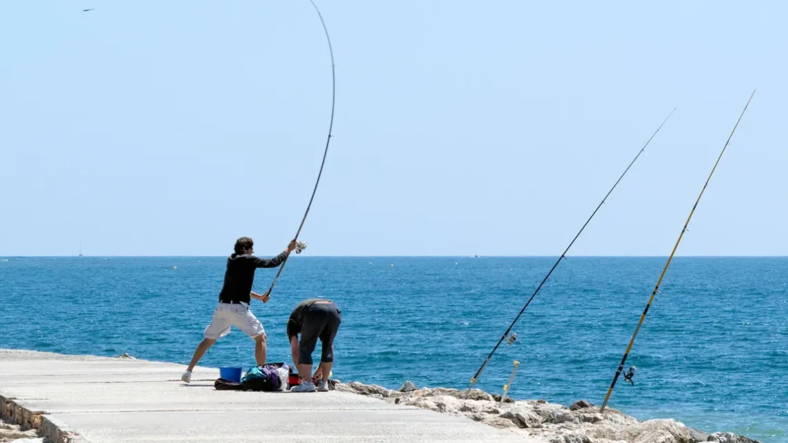 Guida alla Pesca in Italia: Licenza, Attrezzatura e Stagioni