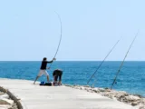 Guida alla Pesca in Italia: Licenza, Attrezzatura e Stagioni