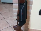 Classified Auto Draft - Carabine semiautomatiche