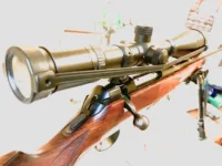 Classified Auto Draft - Bolt Action (foto 2)
