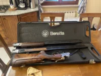 Classified Auto Draft - Sovrapposti (foto 2)