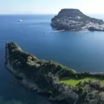 Foto del profilo di raffaele basile